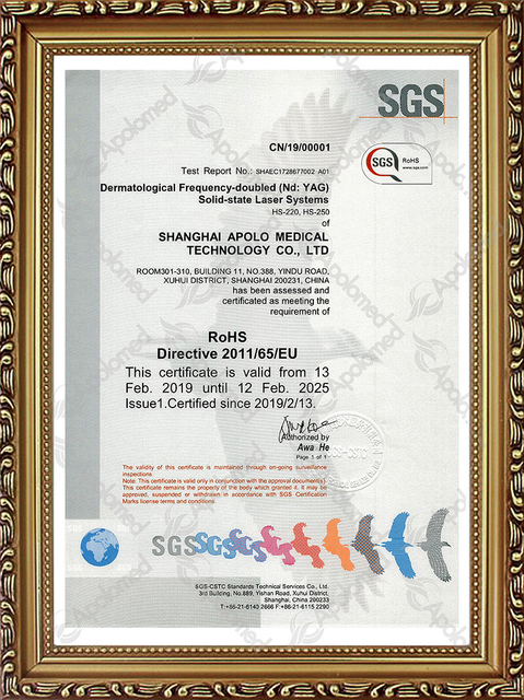 Sistema laser Nd Yag Q-Switched