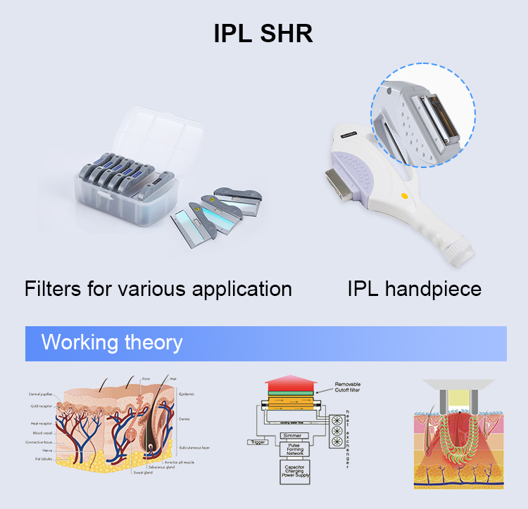 Manipolo IPL